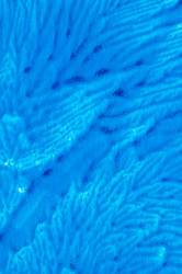 Similar image 175930