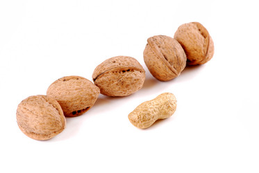 Similar image 175933