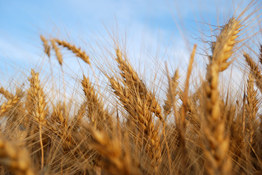 Similar image 175963