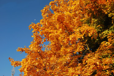 Similar image 175971