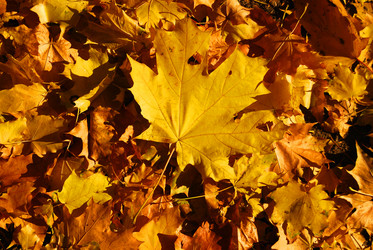 Similar image 175974