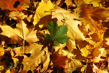 Similar image 175976