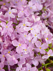 Similar image 175980