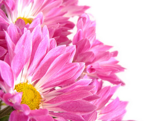 Similar image 175984