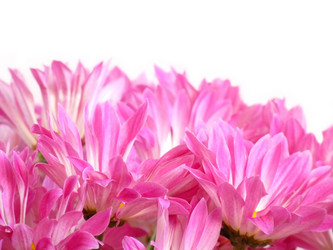 Similar image 176011