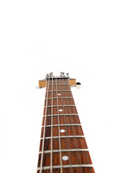 Similar image 176023