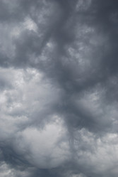 Similar image 176027