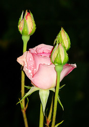 Similar image 176104