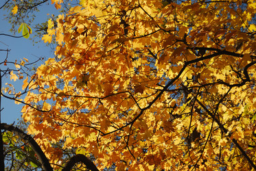 Similar image 176107