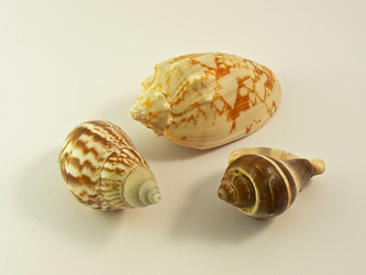 Similar image 176115