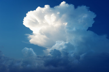 Similar image 176148