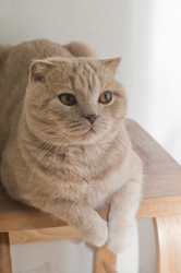 Similar image 176224