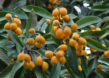 Similar image 176234