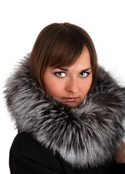 Similar image 176257