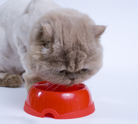 Similar image 176281