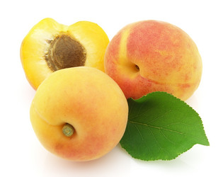 Similar image 176336