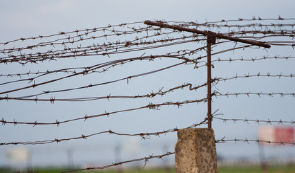 Similar image 176369