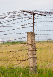 Similar image 176371