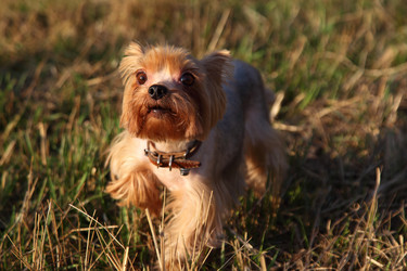 Similar image 176386