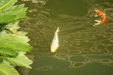 Similar image 176401