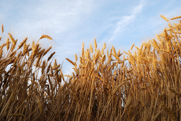 Similar image 176486