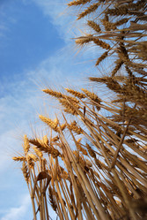 Similar image 176487