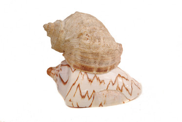 Similar image 176501