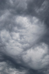 Similar image 176511