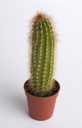 Similar image 176548