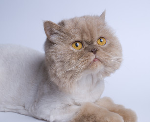 Similar image 176552