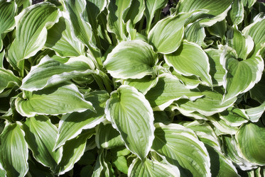 Similar image 176563