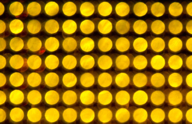 Similar image 176580