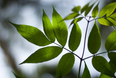 Similar image 176598