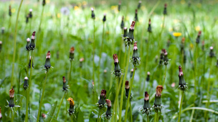 Similar image 176603