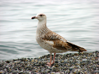 Similar image 176633