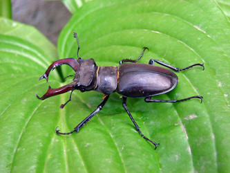 Similar image 176640