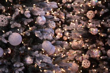 Similar image 176670