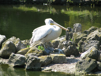 Similar image 176708