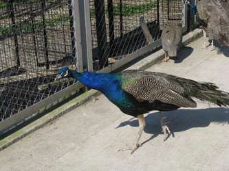 Similar image 176716