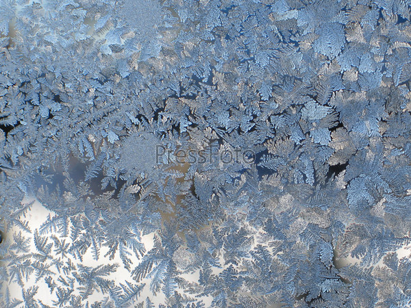 Фотография на тему Морозные узоры на стекле | PressFoto