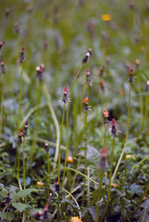 Similar image 176751