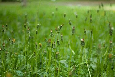 Similar image 176754