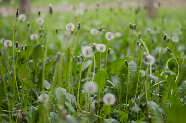 Similar image 176758