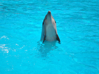 Similar image 176771