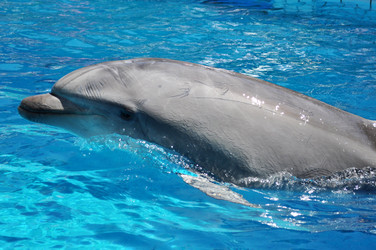 Similar image 176772