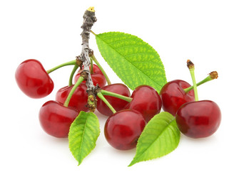 Similar image 176800