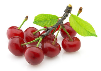 Similar image 176805