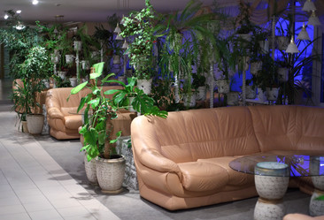 Similar image 176838