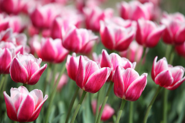 Similar image 176841