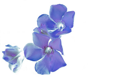 Similar image 176863